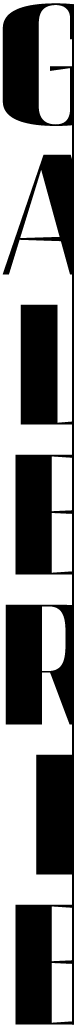 galery_title_split_vertical_effect
